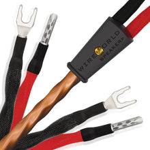 Afbeelding in Gallery-weergave laden, Accessoire Wireworld Mini Eclipse 10 Luidsprekerkabel HifiManiacs Bi-Wire / 2m