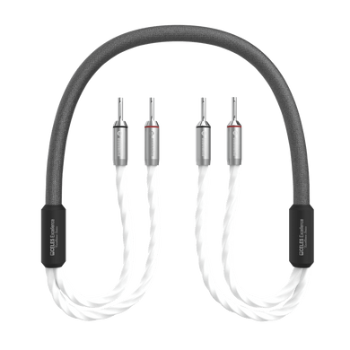 Kabel Audiomica Excellence Celes Speaker Kabel 2*2,5m HifiManiacs