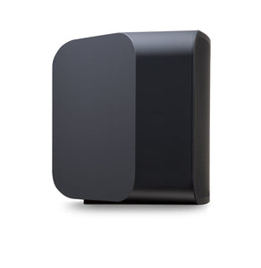Streamer Speaker Bluesound Pulse 2i HifiManiacs