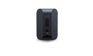 Streamer Speaker Bluesound Pulse Flex 2i HifiManiacs