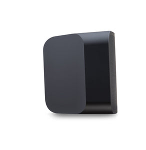 Streamer Speaker Bluesound Pulse Mini 2i HifiManiacs