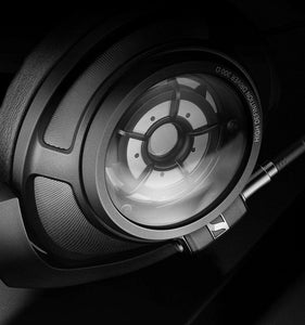 Hoofdtelefoon Sennheiser HD820 HifiManiacs