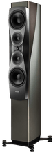 Afbeelding in Gallery-weergave laden, Luidspreker Dynaudio Confidence 60 Luidsprekers (per paar) HifiManiacs Smoke
